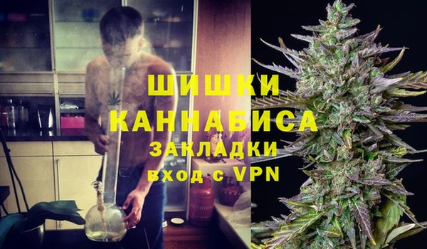 ПСИЛОЦИБИНОВЫЕ ГРИБЫ Аркадак