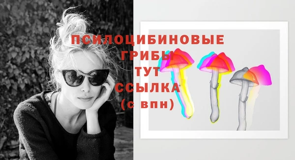молекула духа Ростов