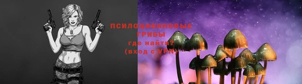ПСИЛОЦИБИНОВЫЕ ГРИБЫ Аркадак